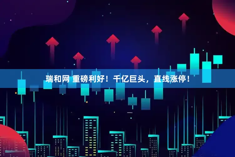 瑞和网 重磅利好！千亿巨头，直线涨停！