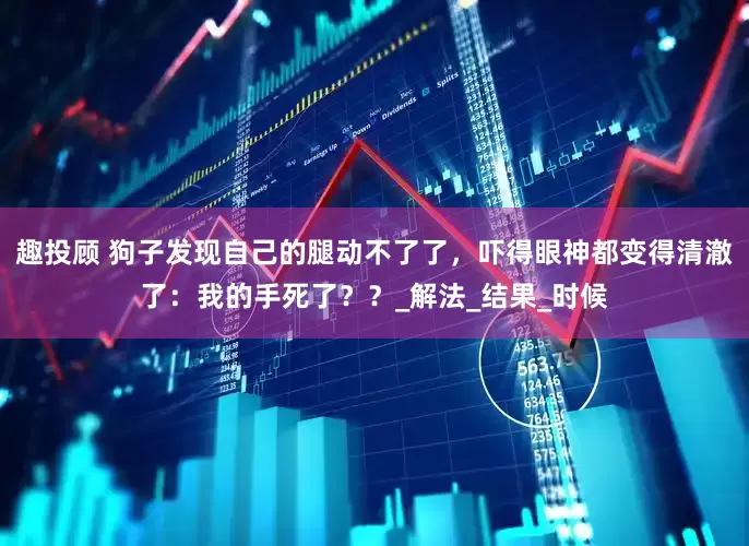 趣投顾 狗子发现自己的腿动不了了，吓得眼神都变得清澈了：我的手死了？？_解法_结果_时候