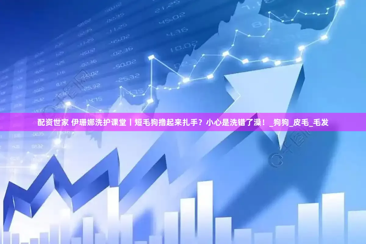 配资世家 伊珊娜洗护课堂丨短毛狗撸起来扎手？小心是洗错了澡！_狗狗_皮毛_毛发