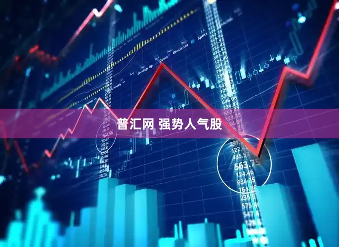 普汇网 强势人气股