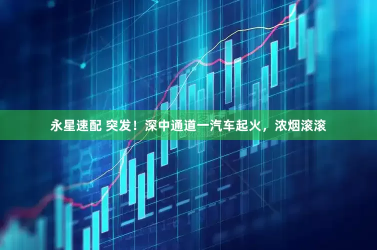 永星速配 突发！深中通道一汽车起火，浓烟滚滚